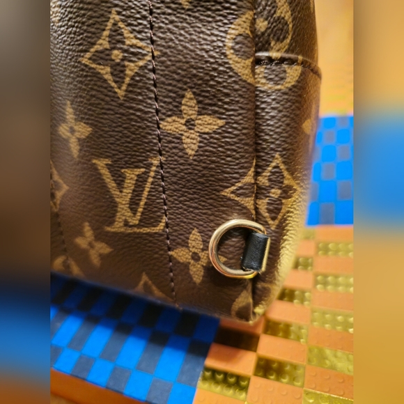 Louis Vuitton Palm Springs Mini - Picture 6 of 11